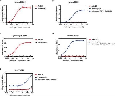 Antagonistic Antibody Targeting TNFR2 Inhibits Regulatory T Cell Function to Promote Anti-Tumor Activity